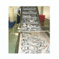 मैकेरल डिब्बाबंद मछली मशीन के लिए पूर्ण प्रसंस्करण लाइन